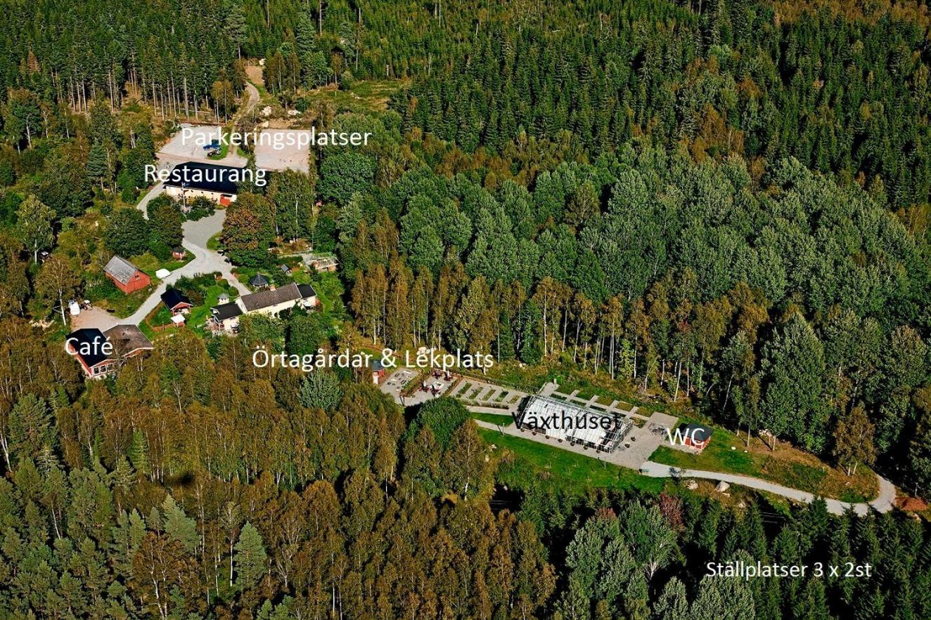 Timjan Forest Resort Nydala Dış mekan fotoğraf